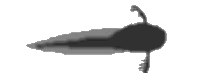 Ulkokidukset